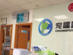 -宠福鑫动物医院(城北分院)