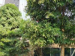 -南宁东站