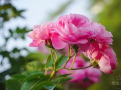 -人民公园(罗湖区)