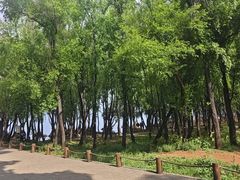 -洱海月湿地公园