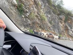 -武陵山森林公园