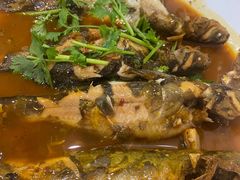 -溱湖八鲜菜馆