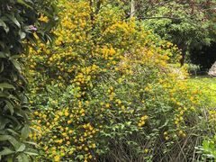 -唐城墙遗址公园