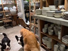 -自由生长植物工作室(深港花卉中心店)