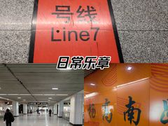 -杨高南路(地铁站)