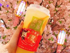 -奈雪的茶(石家庄万象城店)