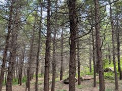 -白草畔自然风景区