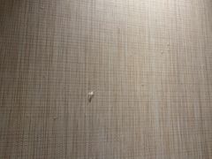 -西双版纳融创皇冠假日度假酒店