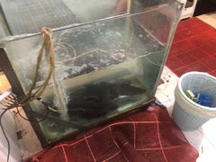 -为民烧烤吧.自贡爆炒菜(收录10年好店)