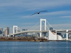 -台场海滨公园船码头