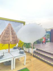 -小蜜蜂农场(凯德七宝购物广场店)