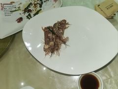 -魚當家