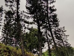 -荔枝公园(福田区)