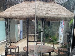 -蘑统田下·野生菌火锅