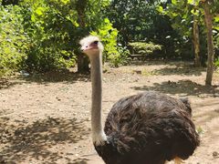 -大连森林动物园