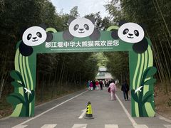 -都江堰中华大熊猫苑
