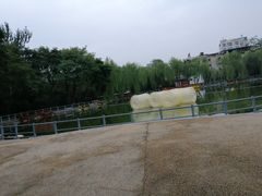 -莲湖公园