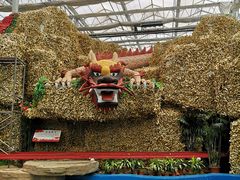 -兰陵国家农业公园