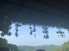 -海南槟榔谷黎苗文化旅游区