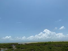 -北海金海湾红树林生态旅游区