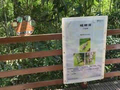 -野象谷景区