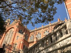 -上海佘山国家森林公园西佘山园