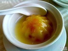 芒果布丁-一品粤珍轩(吴中路店)