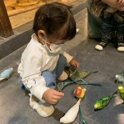 -酷嗒动物文化乐园(cutezoo西溪乐天城店)