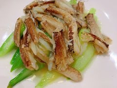 蟹柳芦笋-新光酒家·河豚·海鲜·蟹料理(浦东店)