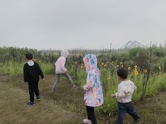 -春花秋色城市公园