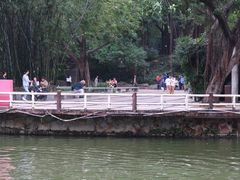 -晓港公园