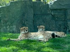 -北京野生动物园