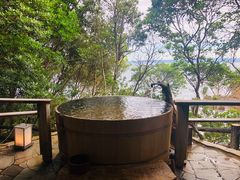 -南紀白浜 浜千鳥の湯 海舟