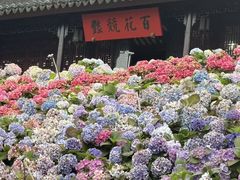 -苏州上方山国家森林公园