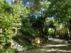-小南山公园