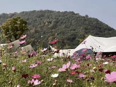 -良渚古城遗址公园