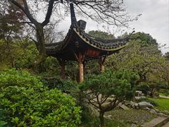 -杭州植物园