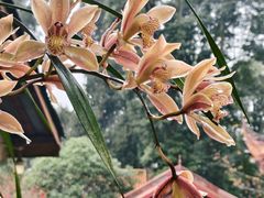 -都江堰普照寺