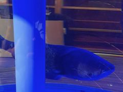 -解家河南菜(商鼎路店)