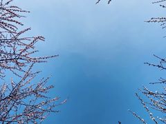 -蜀冈西峰生态公园