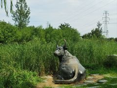 -马家湾湿地公园