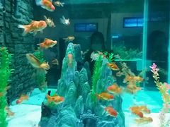 -洛阳龙门海洋馆