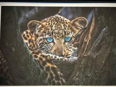 -罗红摄影艺术馆