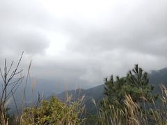 -军营村