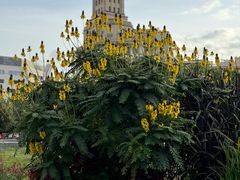 -加泰罗尼亚广场