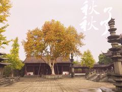 -钱王祠