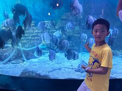 -烟台海昌鲸鲨海洋公园