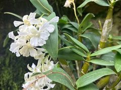 -国家植物园