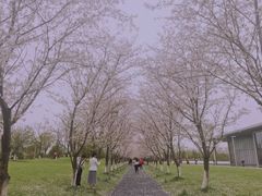 -良渚文化村
