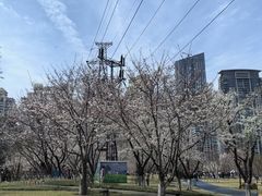 -西北湖绿化广场